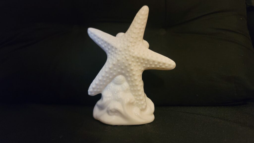 Ceramic Starfish / White
